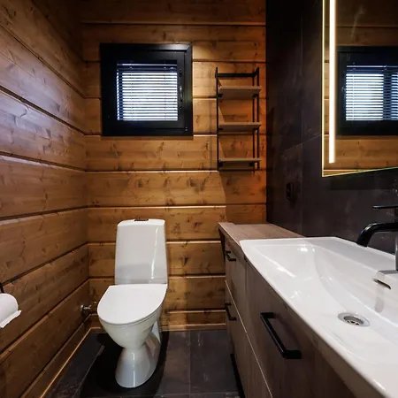 Finland - Raven B 列维