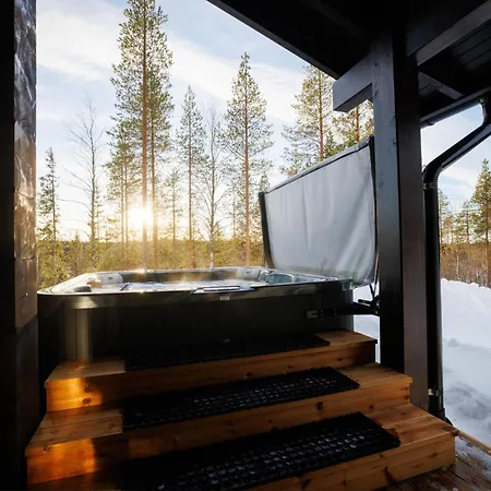 Finland - Raven B * ليفي