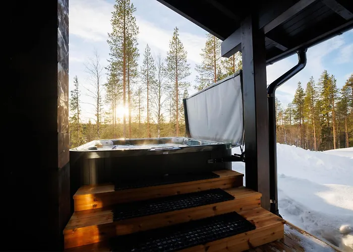 Finland - Raven B * לוי