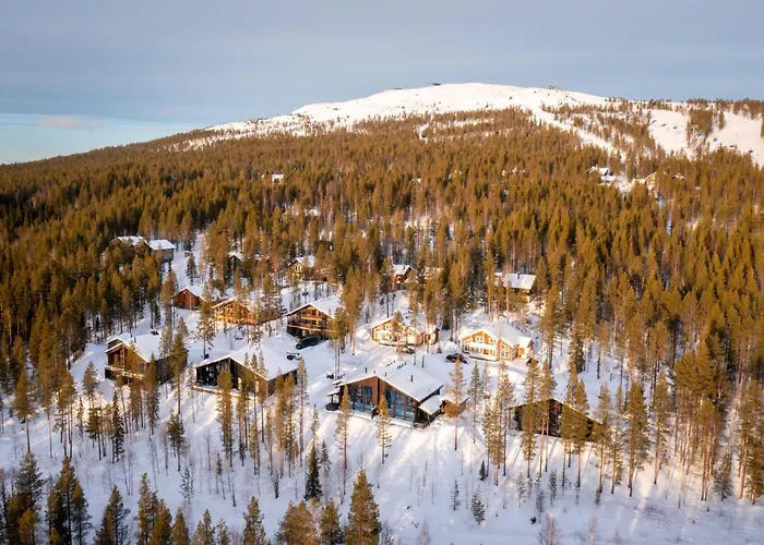 Dom wakacyjny Finland - Raven B Levi